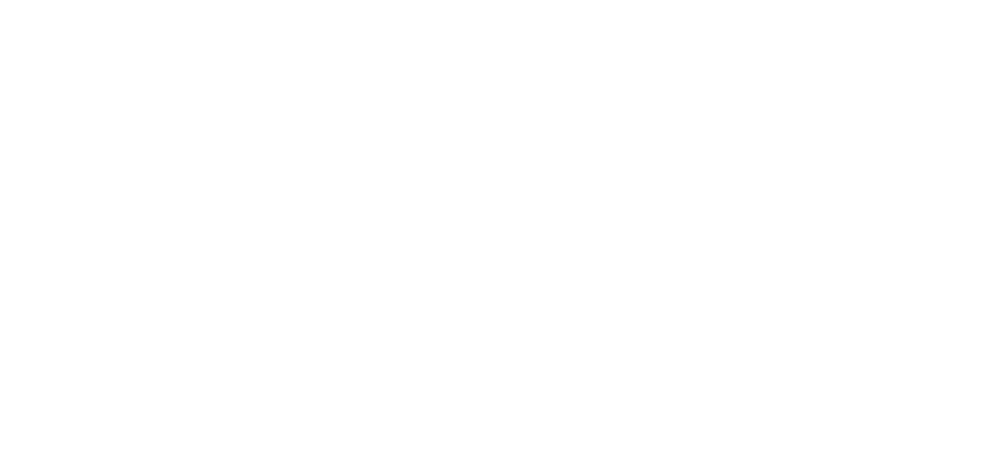 Magic & Bird 2